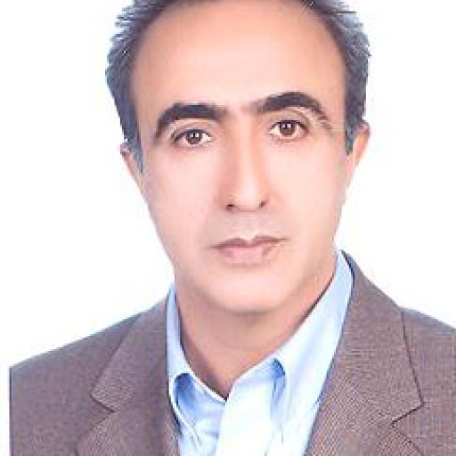 تصویر مصطفی پهلوان یلی