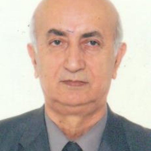 تصویر سیدمصطفی موسوی