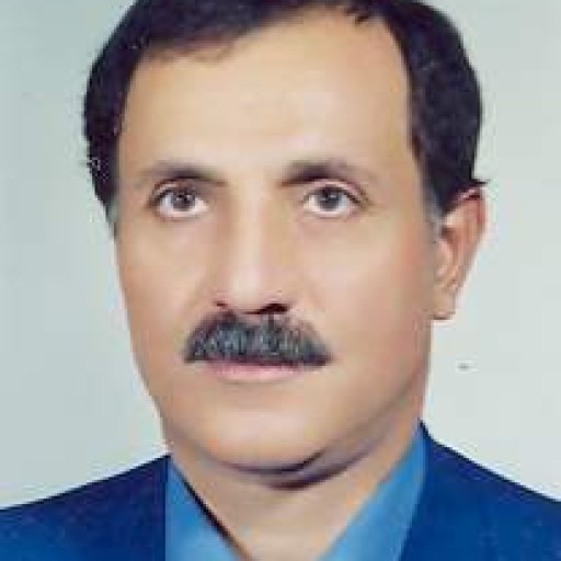تصویر سیدمهدی حسینی