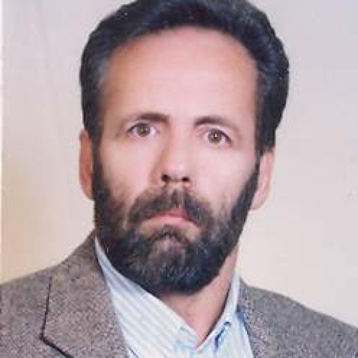 تصویر حسین سلطانی نیا