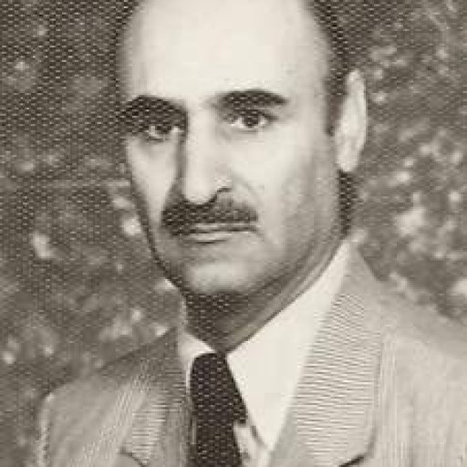 تصویر غلامعلی امیری