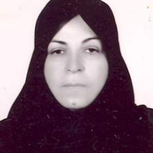 تصویر نگار مدنی