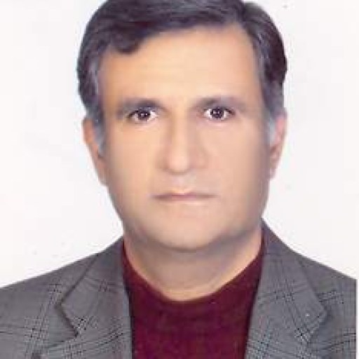 تصویر ضیاءالدین بتولی