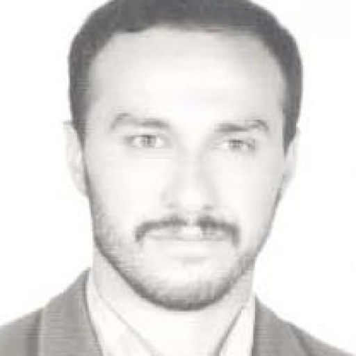 تصویر سلطان امیری