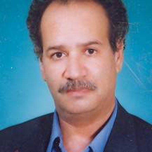 تصویر حمیدرضا مهرپو