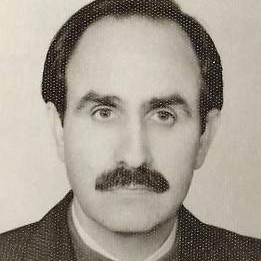 تصویر سیروس انصاری