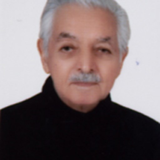 تصویر پرویز فتحی