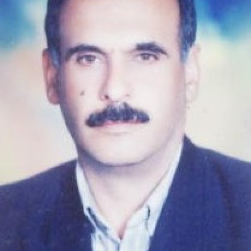 تصویر محمدرضا معبدی رحیمی
