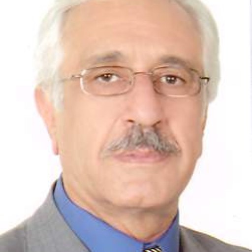 تصویر حسین مهدی زاده
