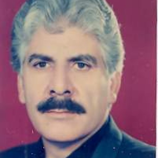 تصویر محمدرضا نیک پی