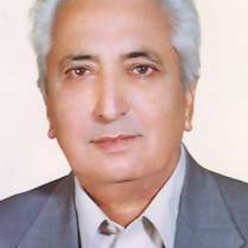 تصویر عباس شیرزادی