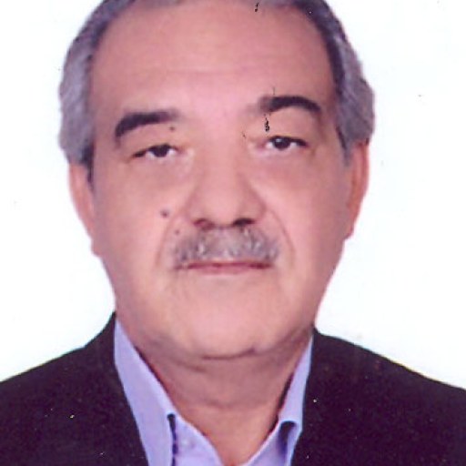تصویر علی شاهسواری