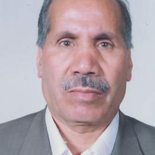 تصویر محمد سام نژاد
