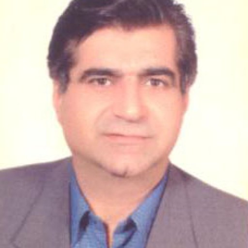 تصویر سیدمسعود غنی