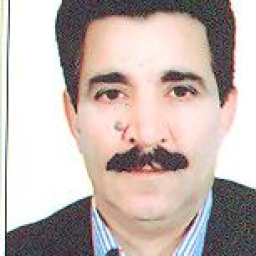 تصویر داریوش محمدی افشار
