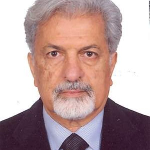 تصویر شاهرخ ذوالریاستین زاده نعمت الهی