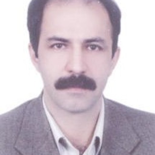 تصویر مجتبی دوستی ثانی