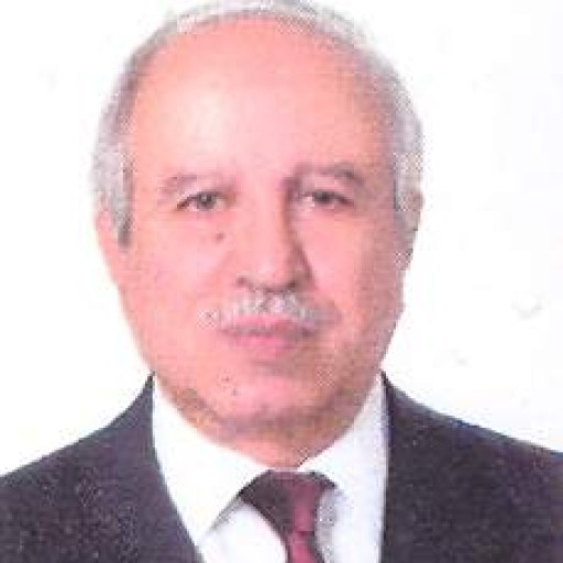 تصویر منوچهر بحرینی