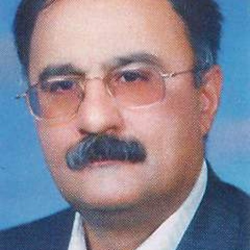 تصویر محمد امینیان