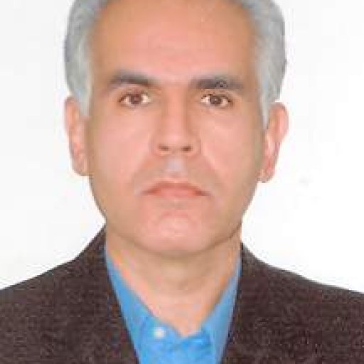 تصویر محمدرضا ناجی