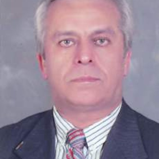 تصویر سیدجواد فاطمی