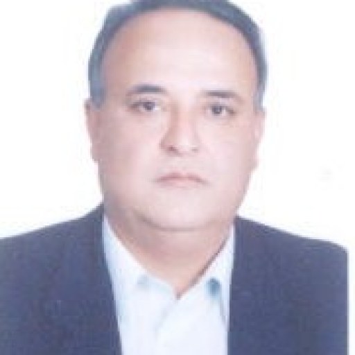 تصویر علی برزمینی