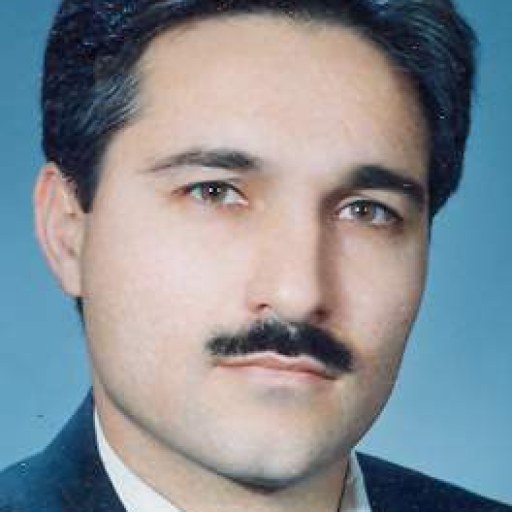 تصویر سیدعلیرضا شاه عالمی