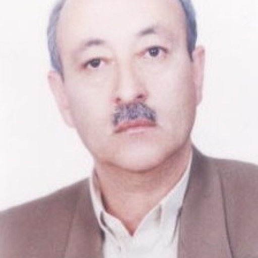 تصویر محمد ابراهیمی