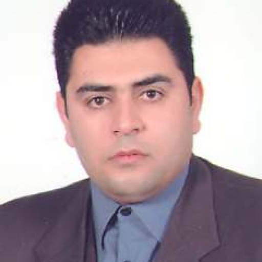 تصویر حسن نصرالهی فیض آبادی