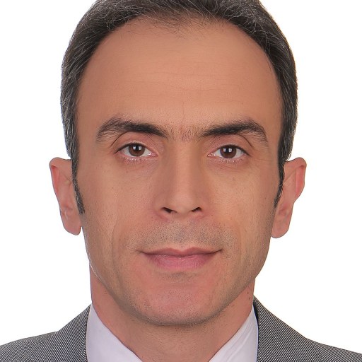 تصویر سید محمد مهدی گرجی نیا