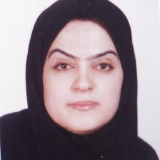 تصویر مهناز السادات میر