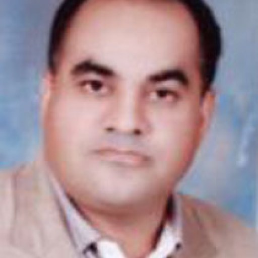 تصویر پنجعلی بیرامی شهابی