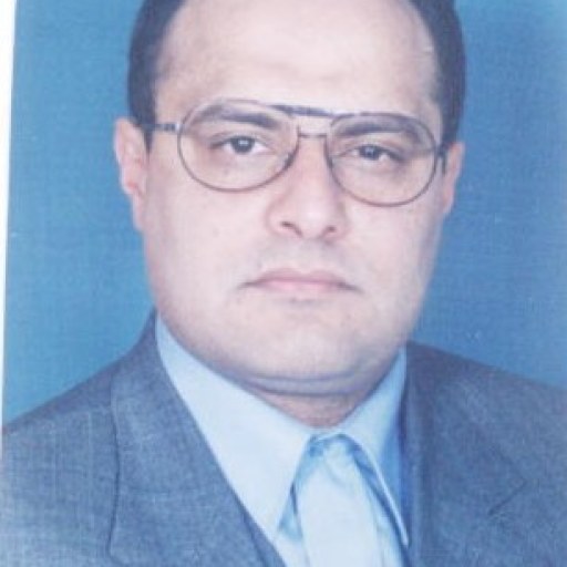 تصویر رضا شبرنگی