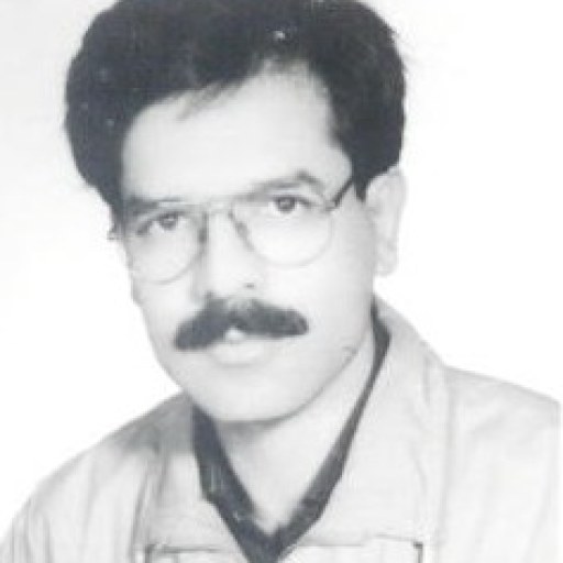 تصویر محمدجواد ادیب مقدم