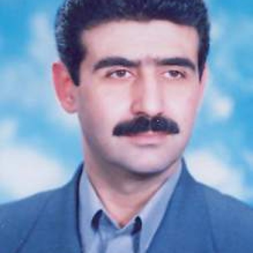 تصویر محمد ارزانی