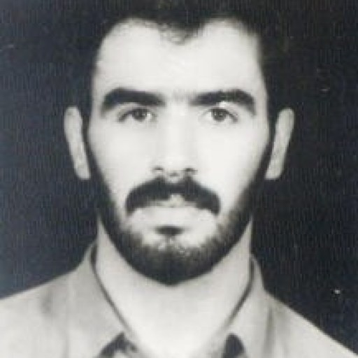 تصویر محمودرضا نوروزی