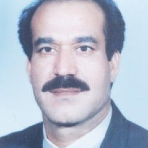 تصویر محمدحسن قنبری
