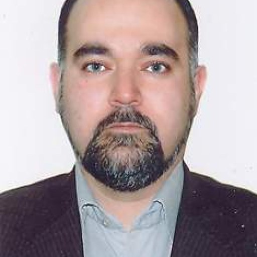 تصویر حمیدرضا شاهرخی