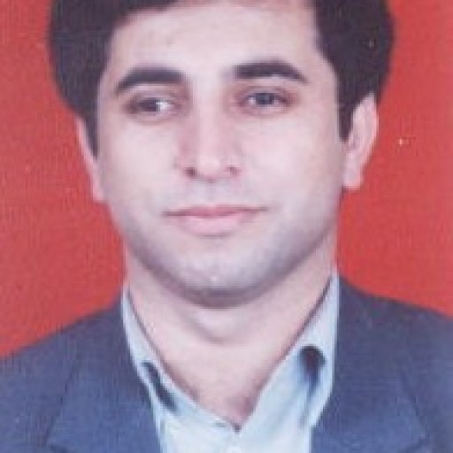 تصویر محسن منصوری