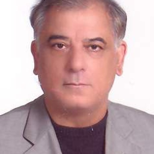 تصویر محمود لشکری