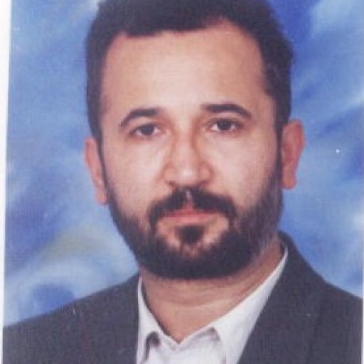 تصویر محمدامین سرفرازی