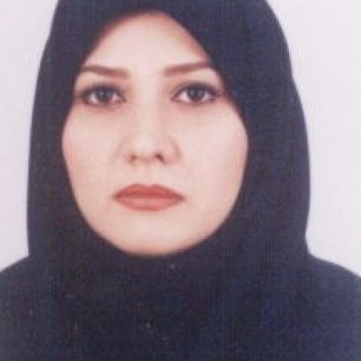 تصویر هانیه سادات حسینی لر