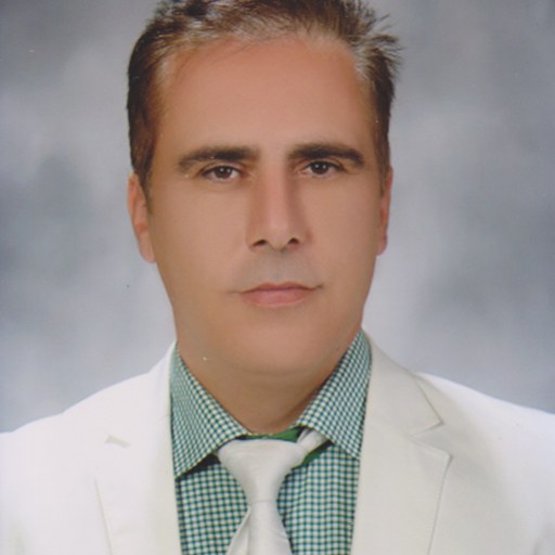 تصویر نریمان مشگی
