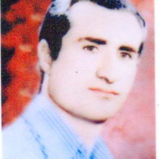 تصویر سهراب محمدی