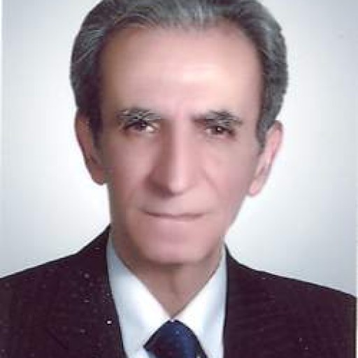 تصویر سیدحسن مبرقع