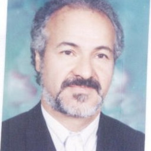تصویر علی صرافی