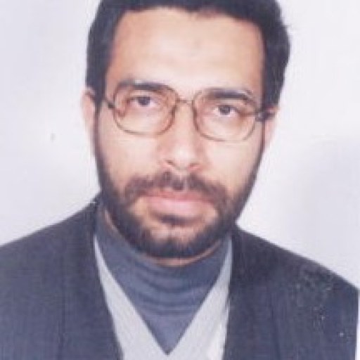 تصویر محسن عامری