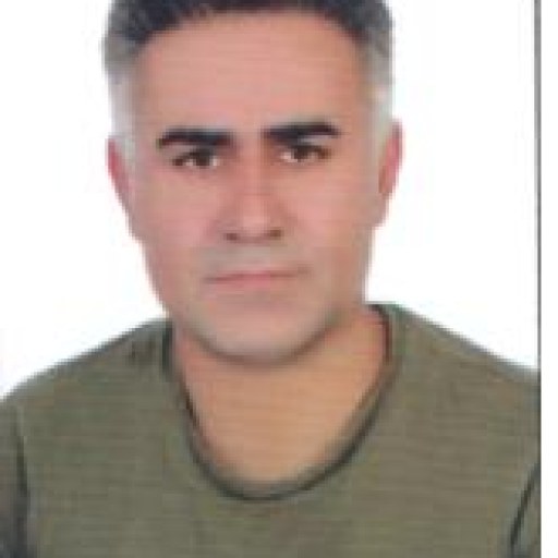 تصویر تیمور احمدی
