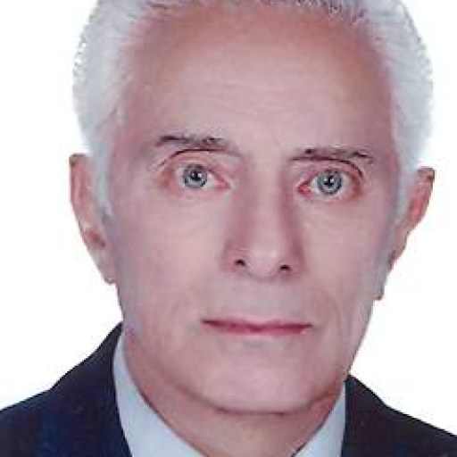 تصویر علی میر محمد صادقی