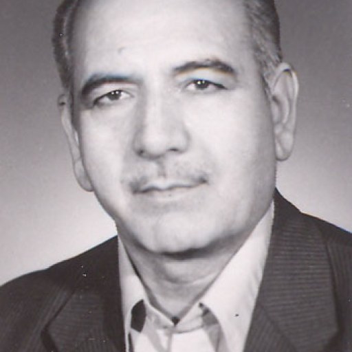 تصویر محمد زینالی